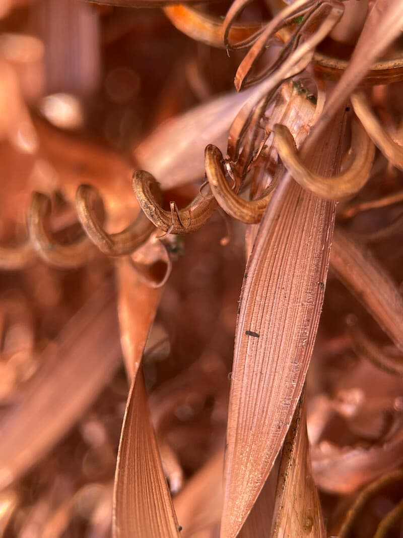 Material image